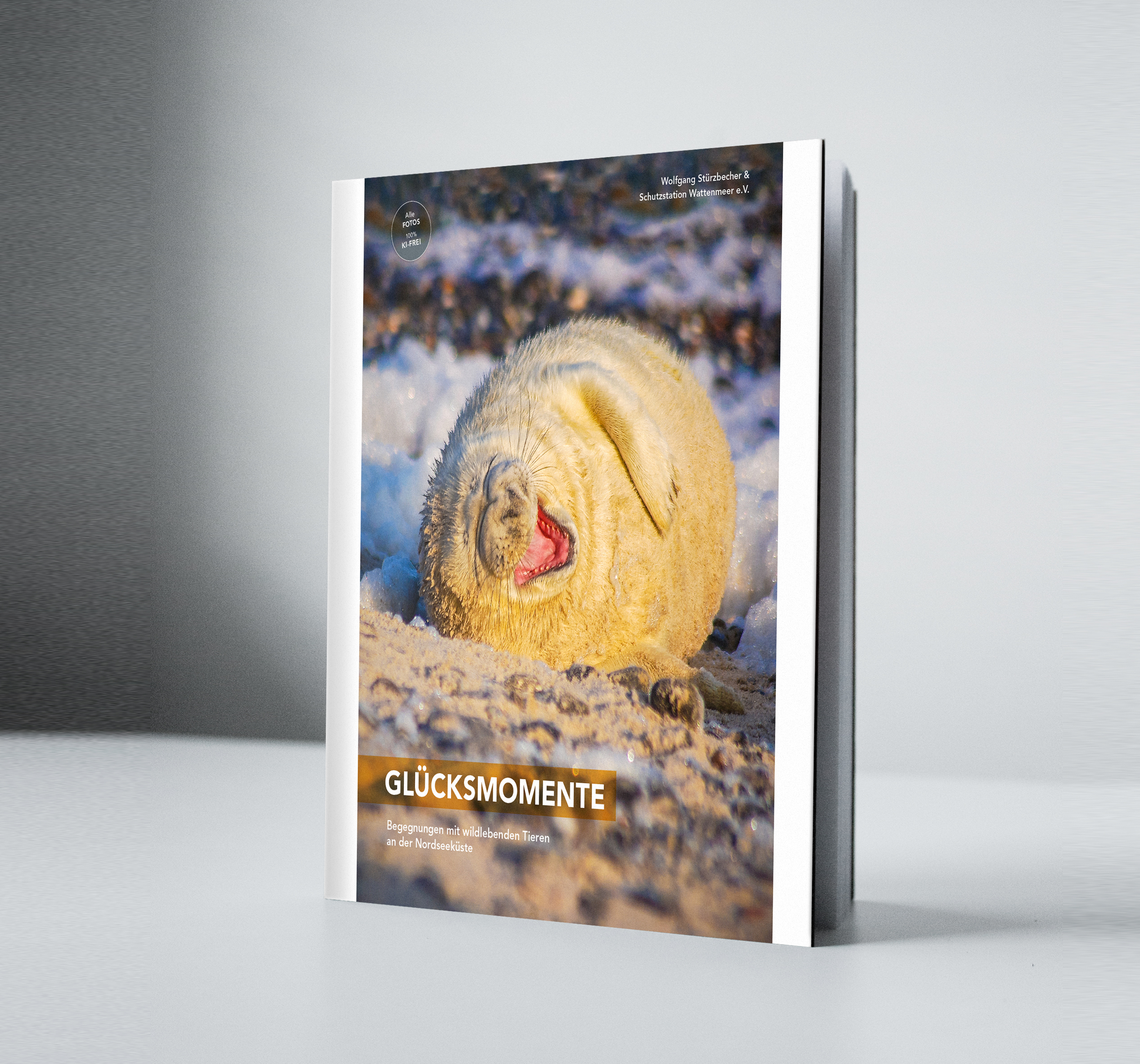 Titelseite "Glücksmomente ll"